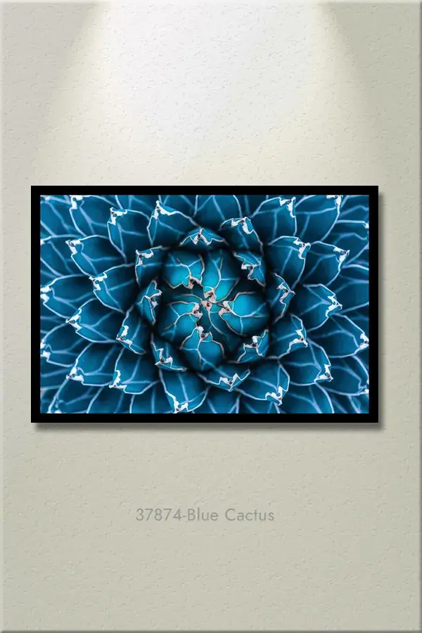 Litografías para cuadros de plantas y naturaleza