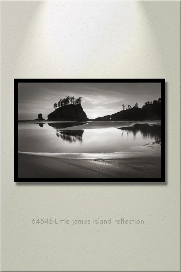 Cuadro paisaje blanco y negro